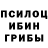 Псилоцибиновые грибы GOLDEN TEACHER Iana Svitlova