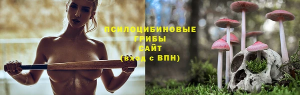 метамфетамин Гусев