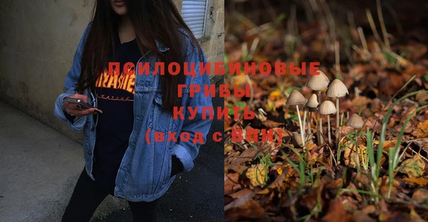 бошки Гусиноозёрск